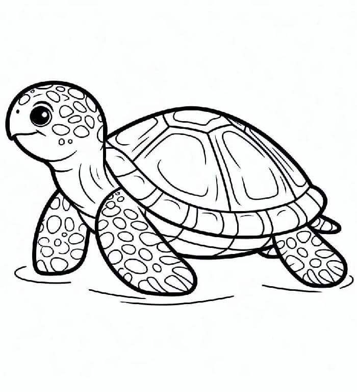 Želva Tisknutelná pro Děti omalovánka