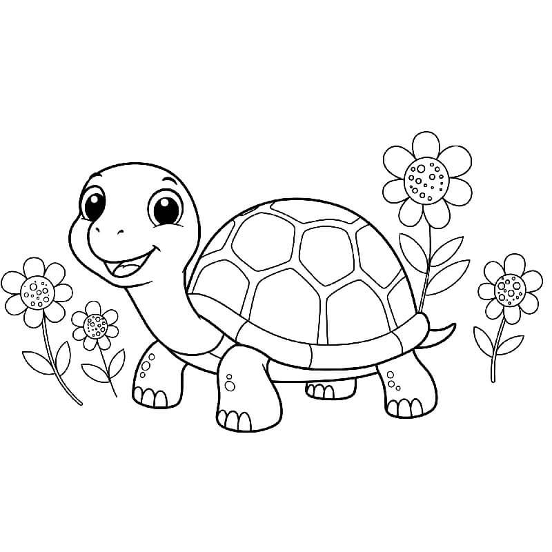 Želva Zdarma pro Děti omalovánka