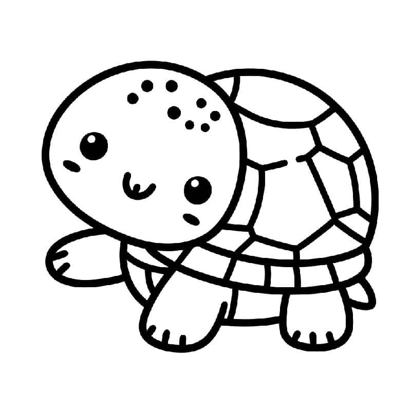 Želva pro 2leté Děti omalovánka