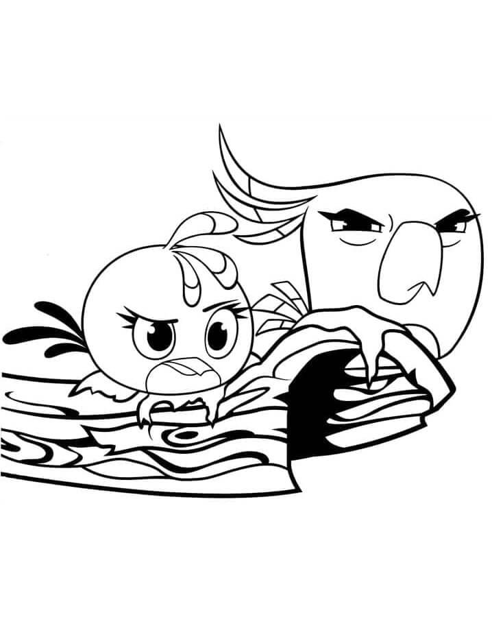 Angry Birds (4) omalovánka