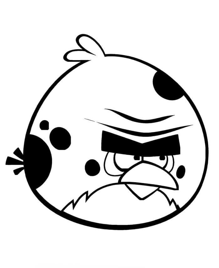 Angry Birds (6) omalovánka