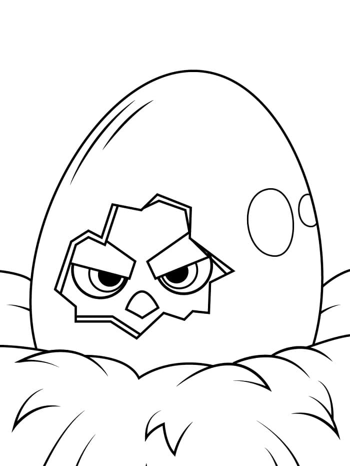 Angry Birds Videohra omalovánka