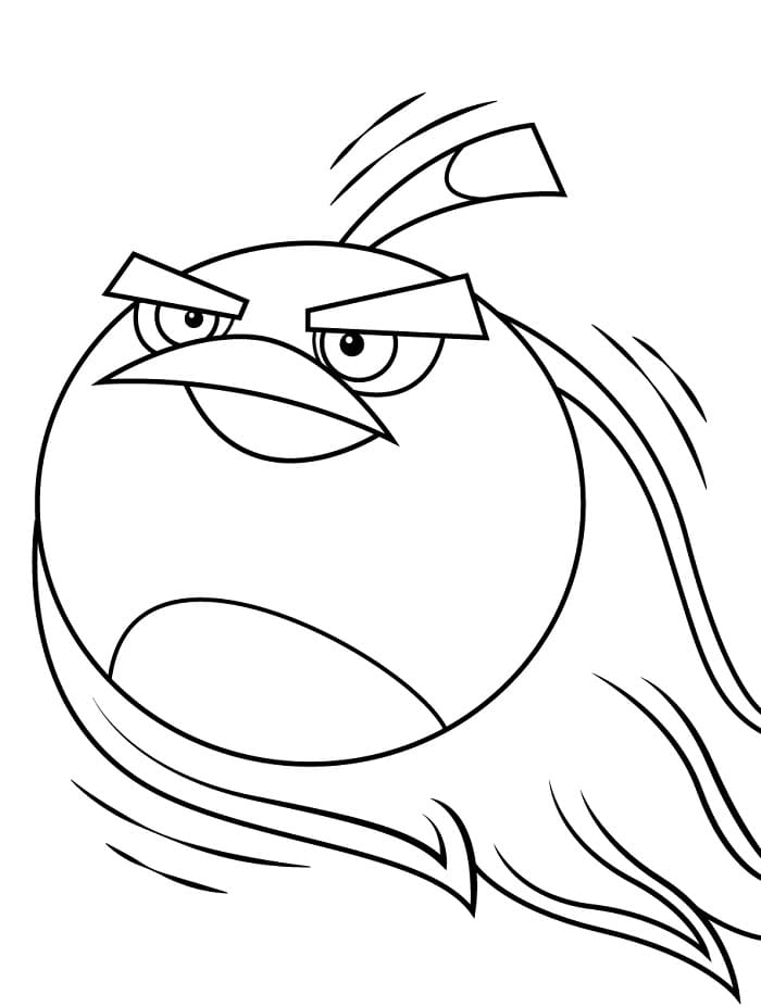 Angry Birds Zdarma omalovánka