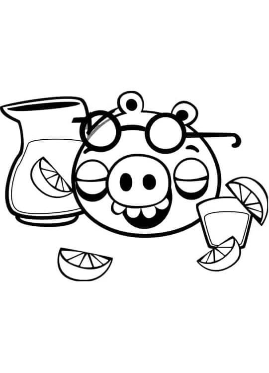 Angry Birds pro Děti 2 Let omalovánka