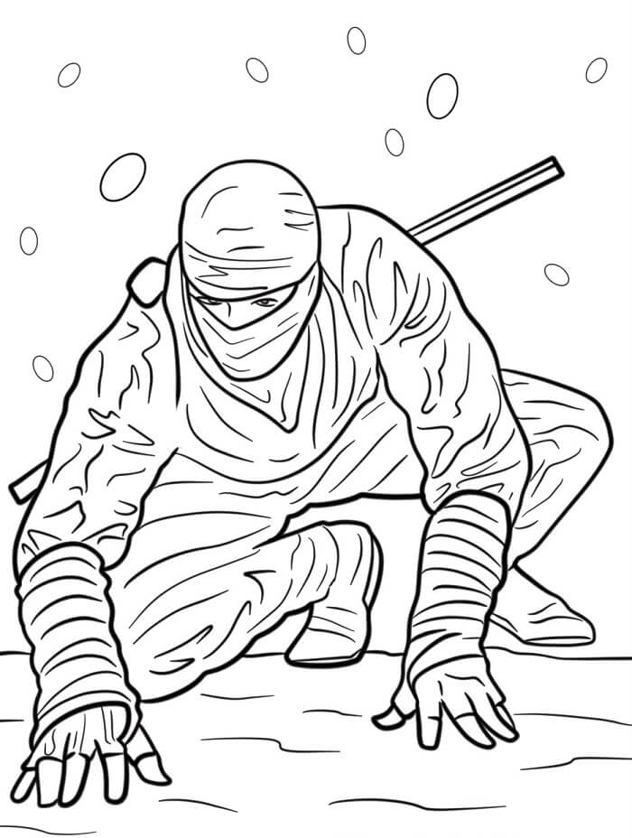 Běžný Ninja omalovánka