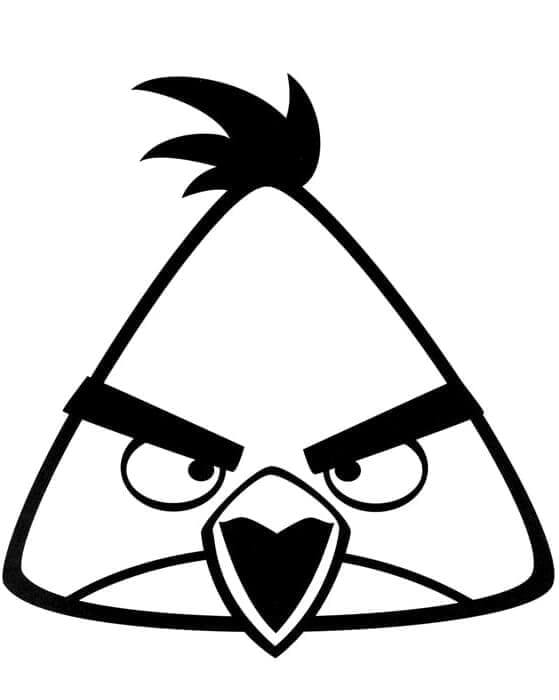 Chuck z Angry Birds omalovánka