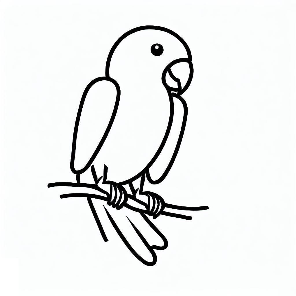 Jeden Papoušek omalovánka