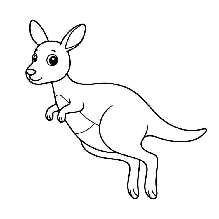 Klokan 3 omalovánka