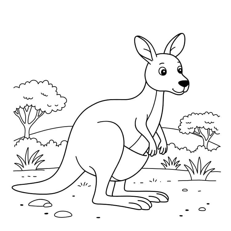 Klokan 5 omalovánka