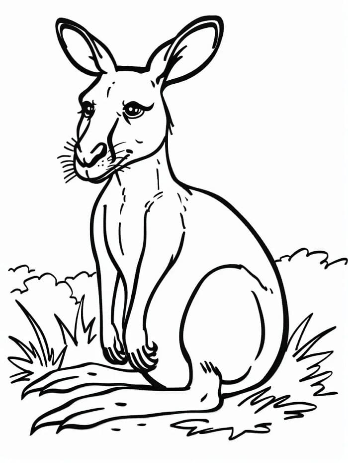 Klokan Tisknutelný omalovánka