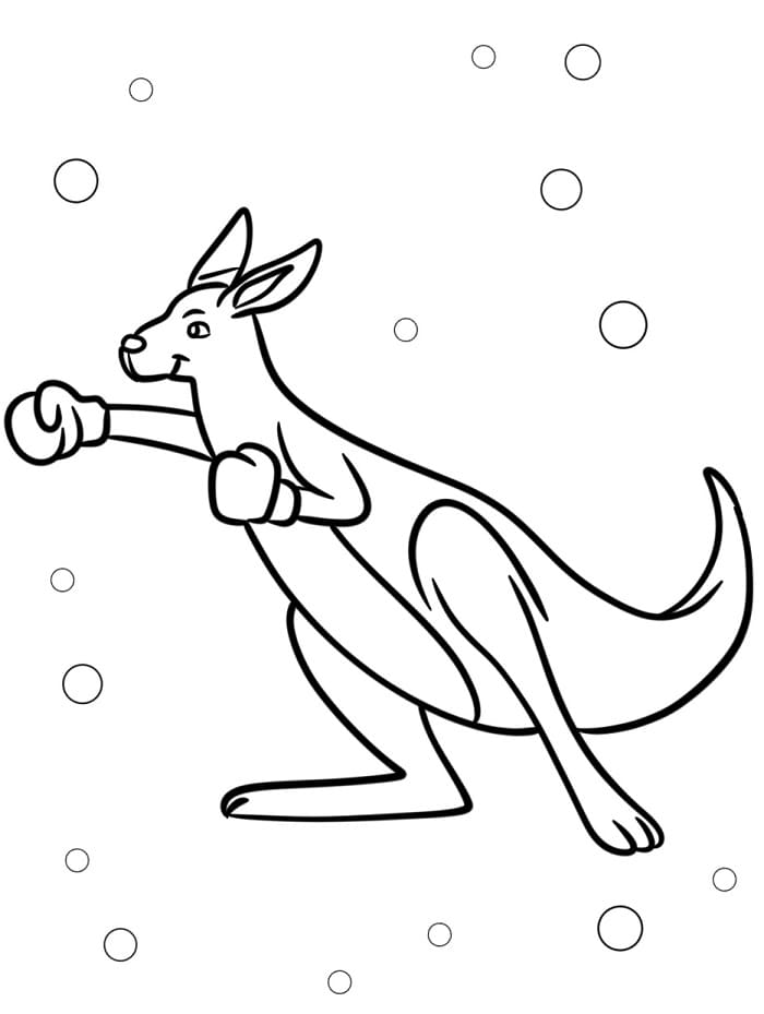 Klokan Zdarma omalovánka