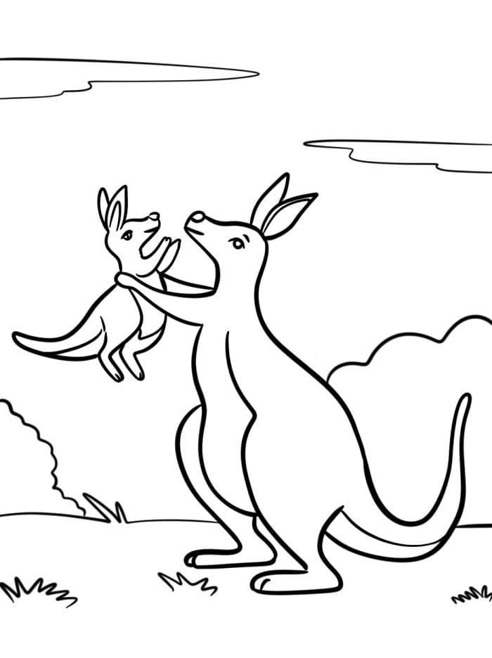 Klokan pro Děti omalovánka