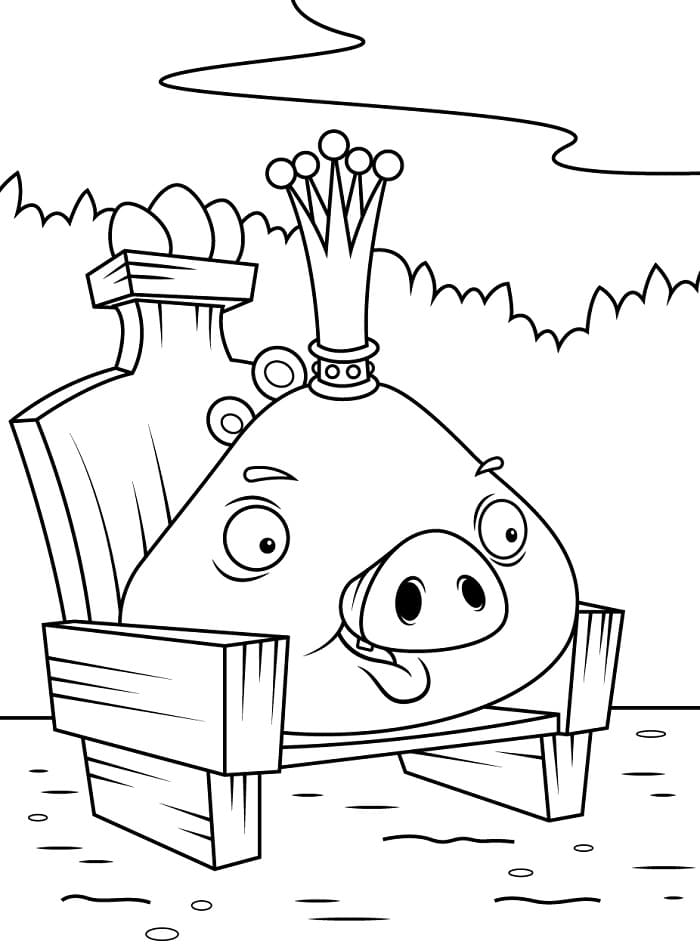 Kreslené Angry Birds omalovánka