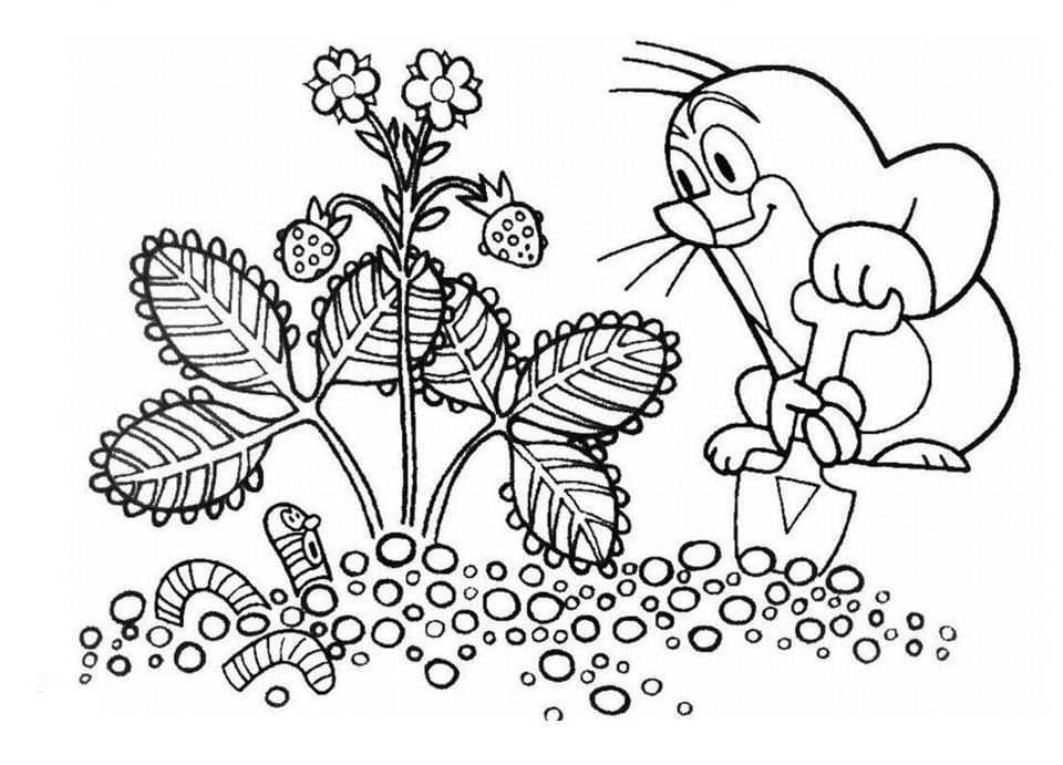 Krtek Bez Poplatku omalovánka