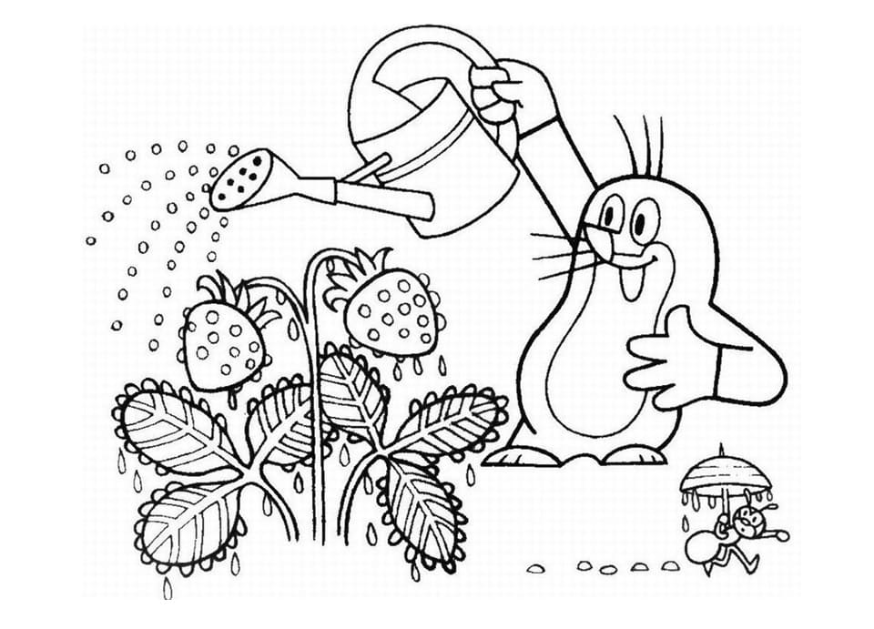 Krtek Zdarma Tisknutelný omalovánka