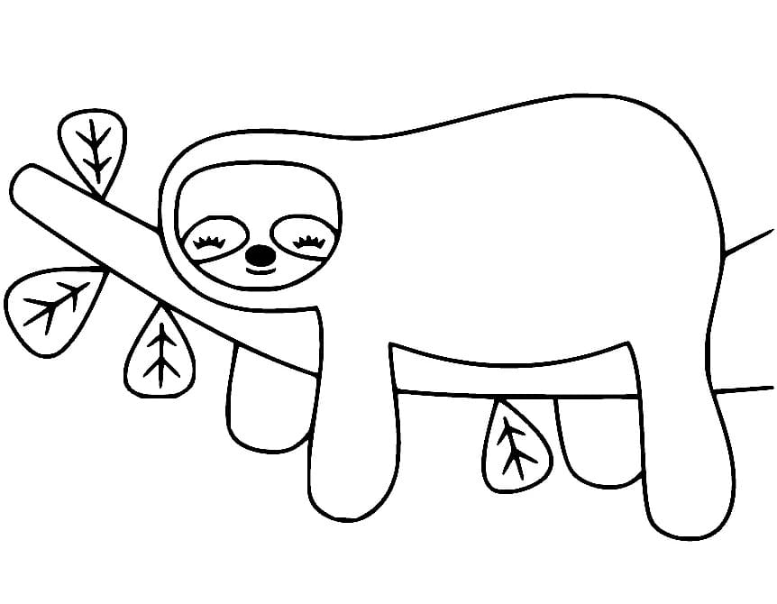 Lenochod 3 omalovánka