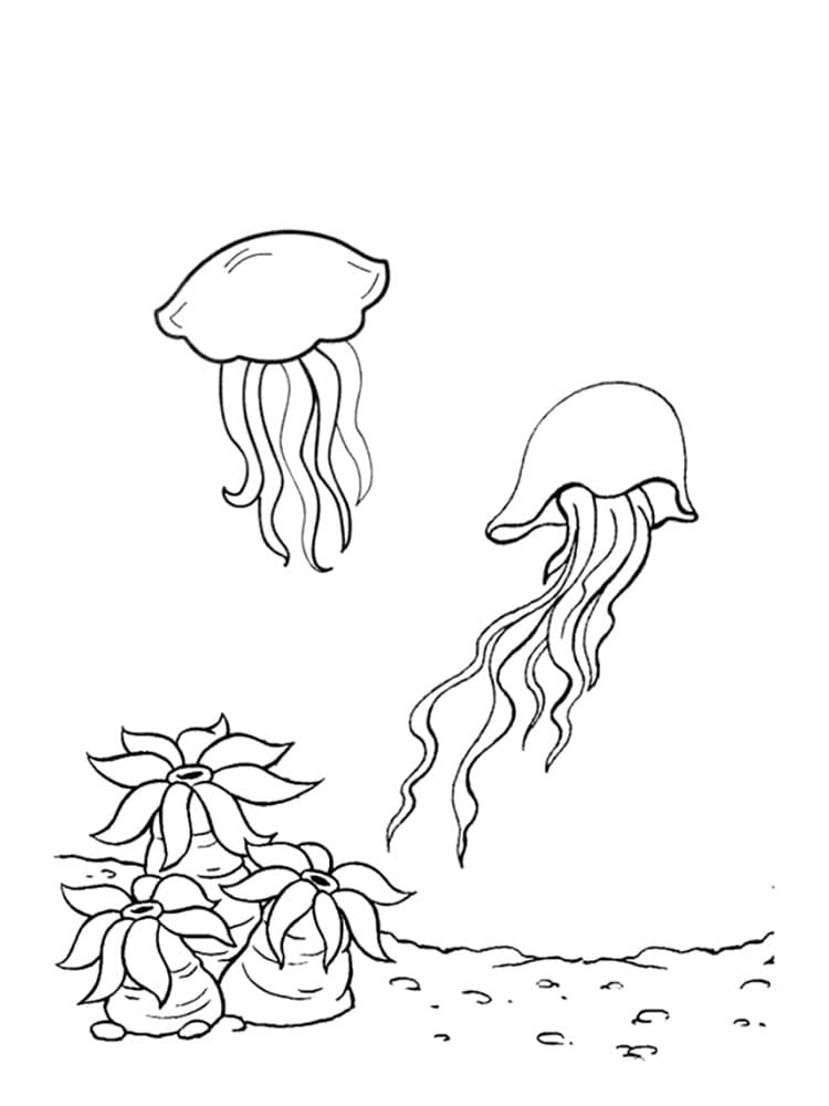 Medúza Zdarma omalovánka