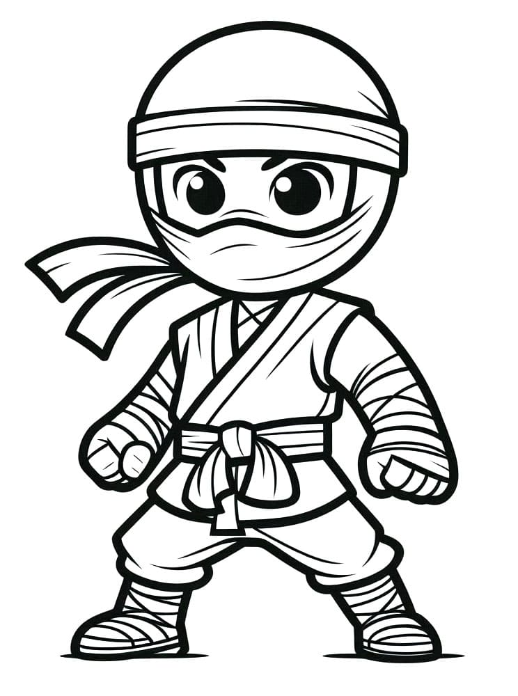 Ninja Zdarma k Vytištění omalovánka