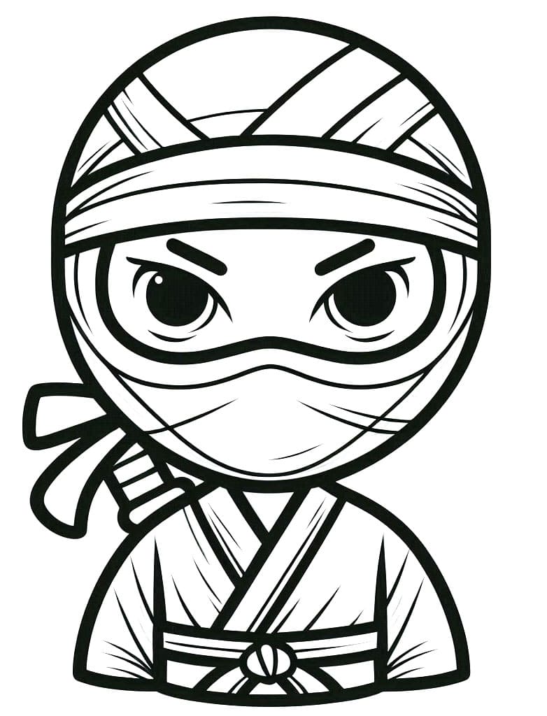 Ninja Zdarma omalovánka