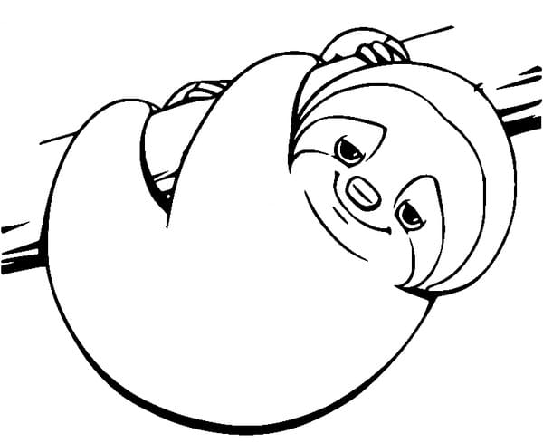 Ospalý Lenochod omalovánka