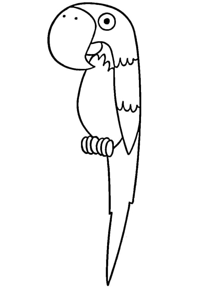 Omalovánka Papoušek Zdarma Tisknutelný
