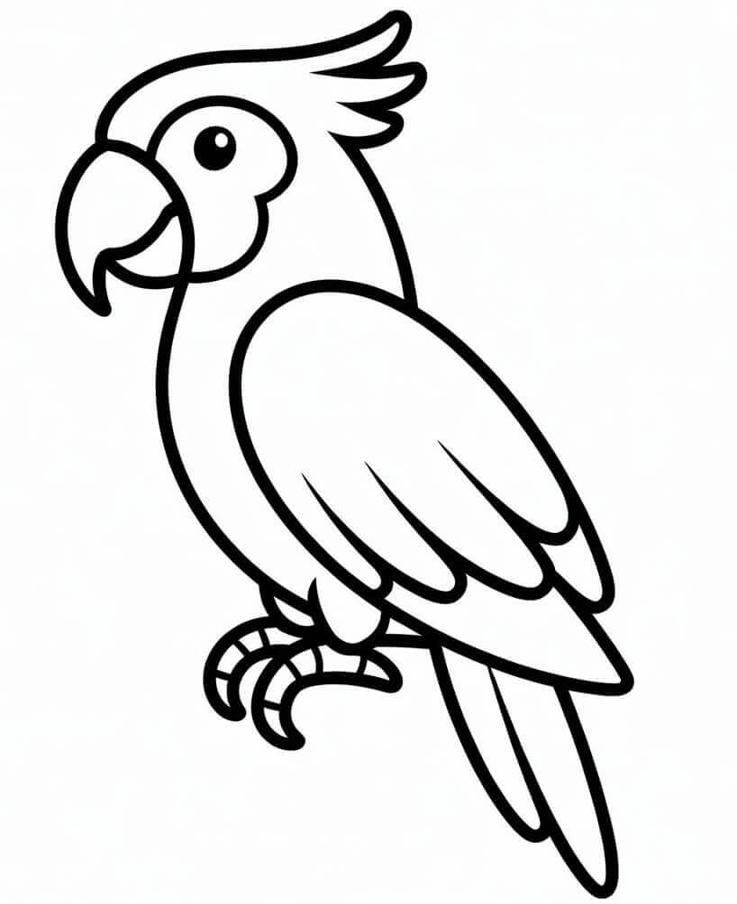 Papoušek pro 1leté Děti omalovánka