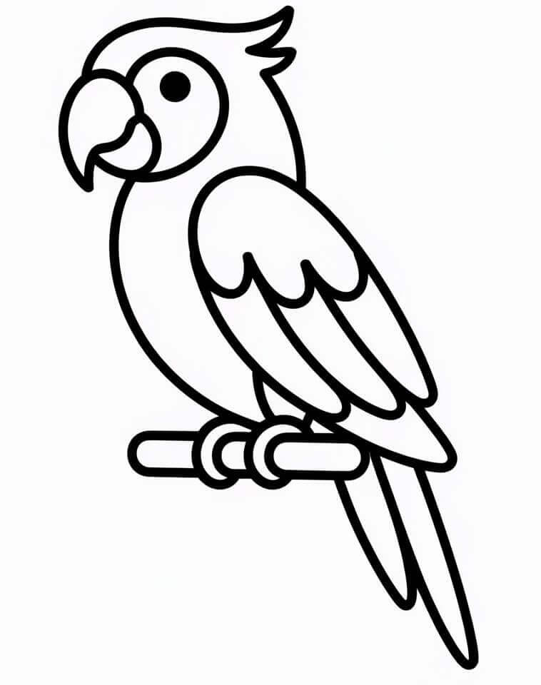 Papoušek pro 2leté Děti omalovánka