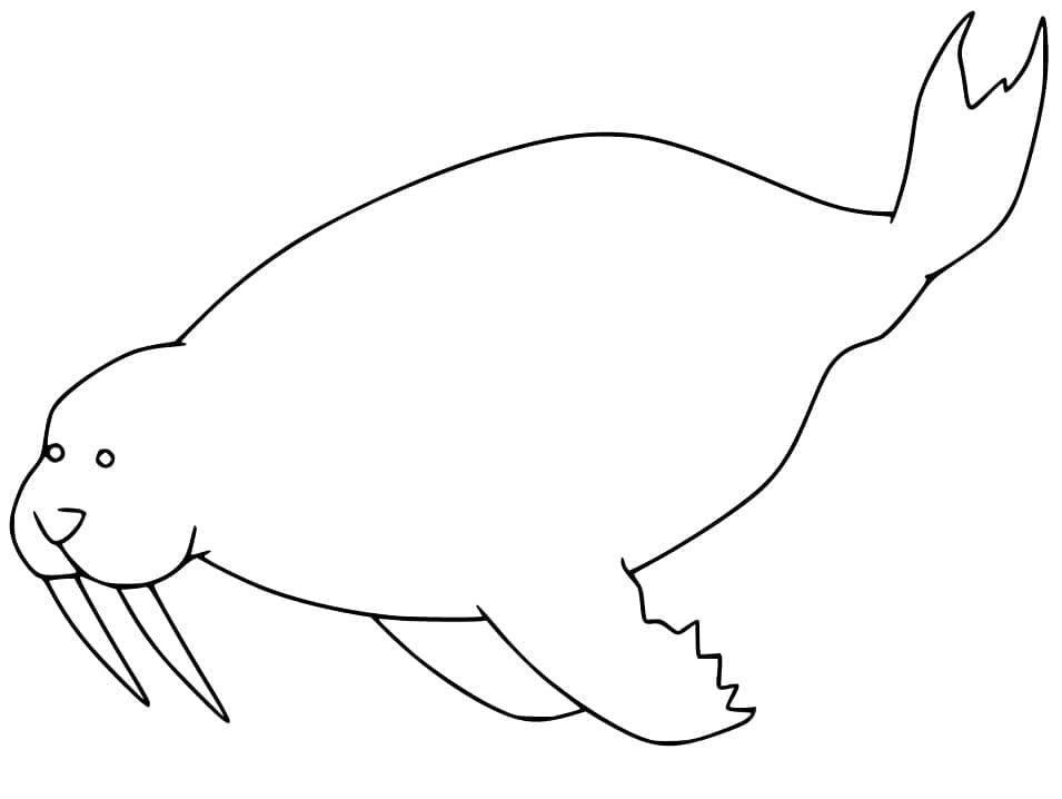 Plavající Mrož omalovánka