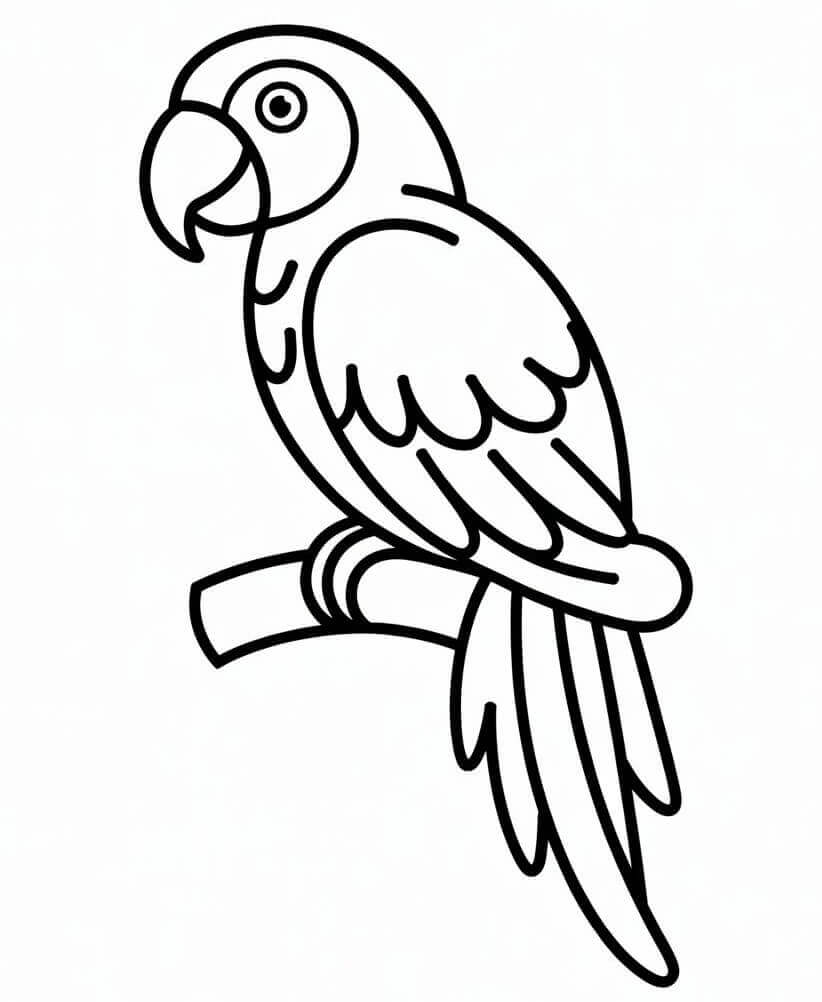 Příjemný Papoušek omalovánka