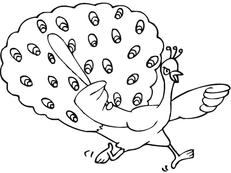 Rozhněvaný Páv omalovánka