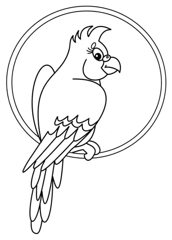 Rozkošný Papoušek omalovánka