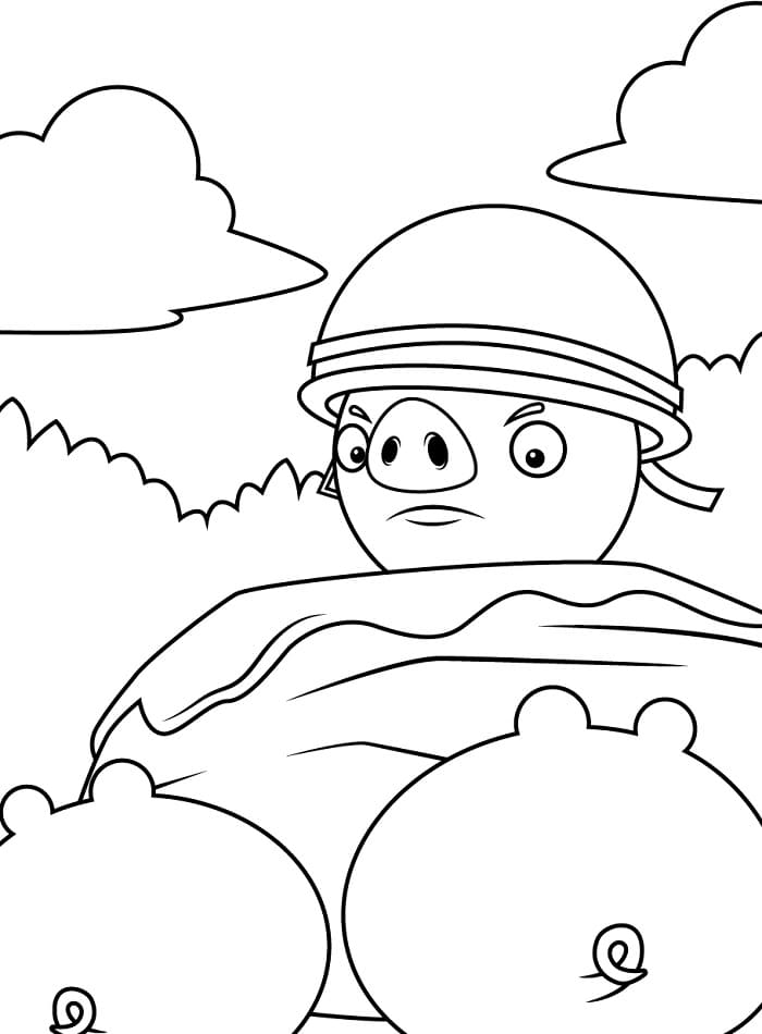 Roztomilé Angry Birds omalovánka