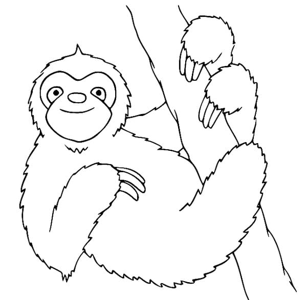 Usmívající se Lenochod omalovánka