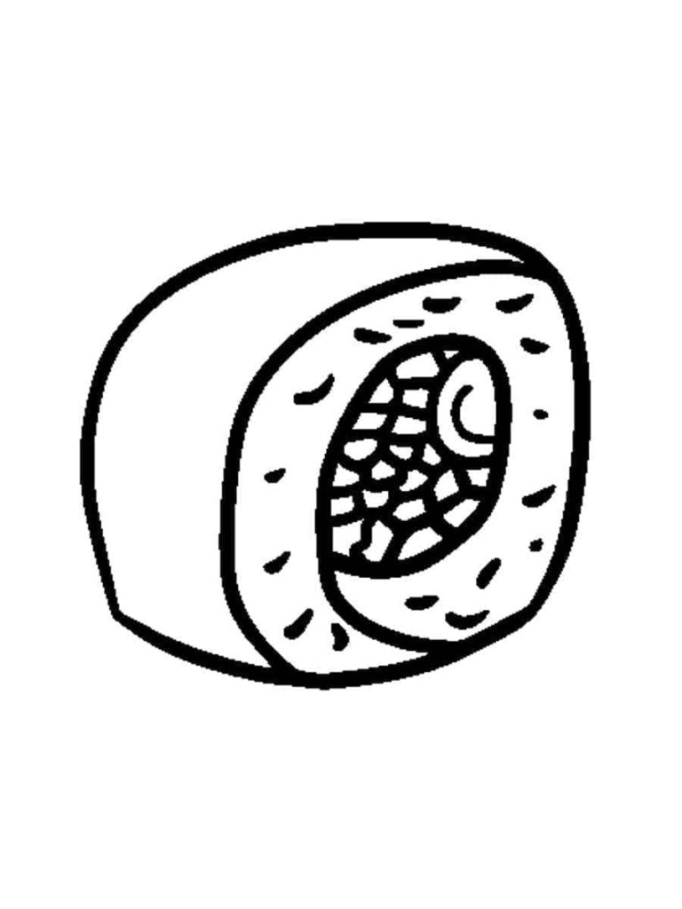 Omalovánka Velmi Jednoduché Sushi