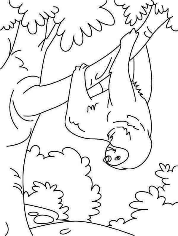 Visící Lenochod omalovánka