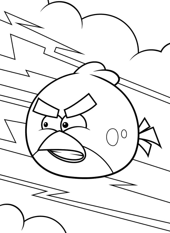 Omalovánky Angry Birds