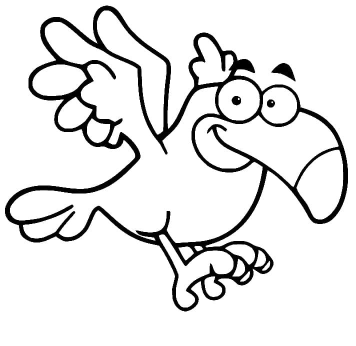 Vtipný Papoušek omalovánka