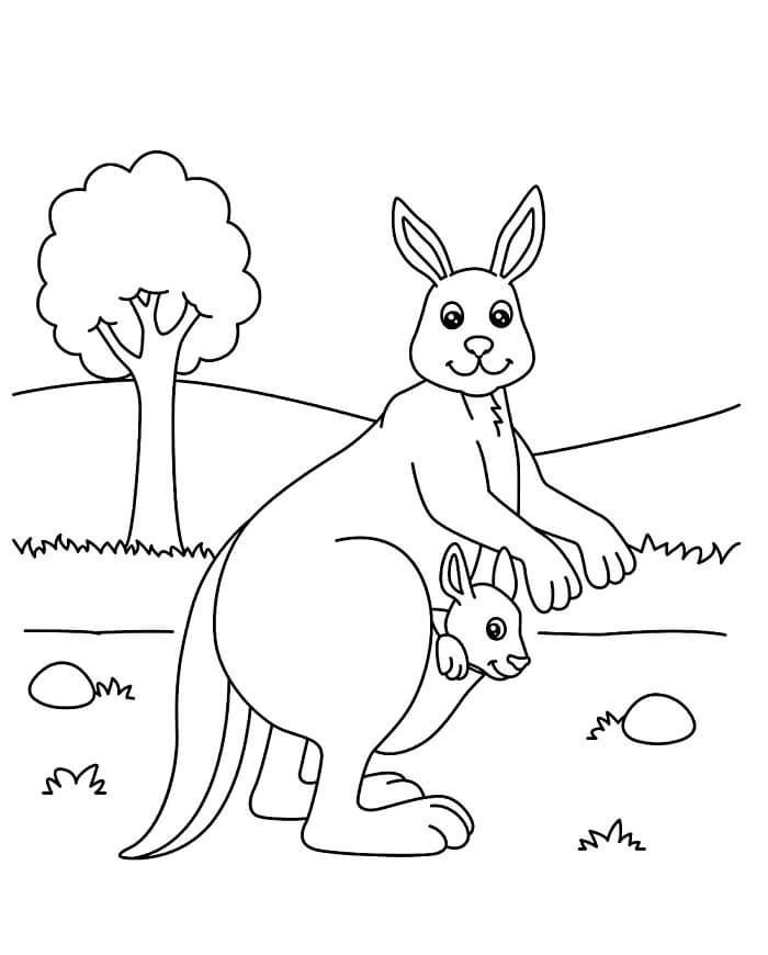 Zdarma Klokan Tisknutelný omalovánka