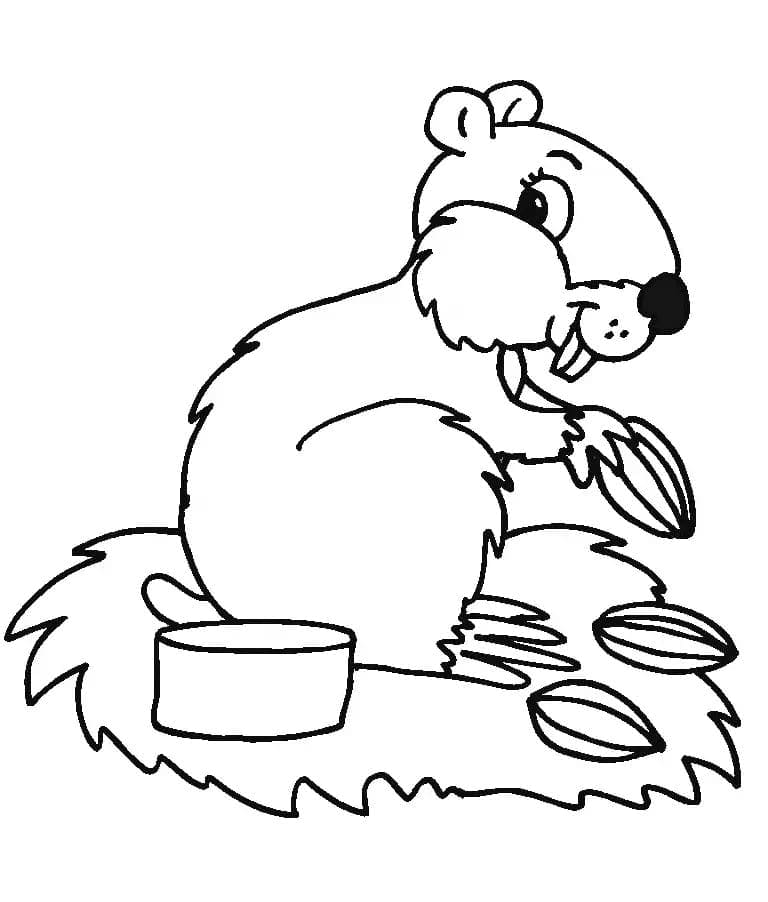 Zdarma Křeček k Tisku omalovánka