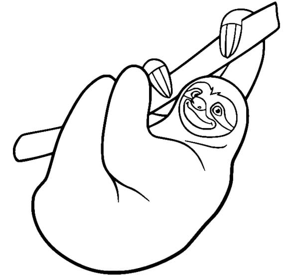 Zdarma Lenochod omalovánka