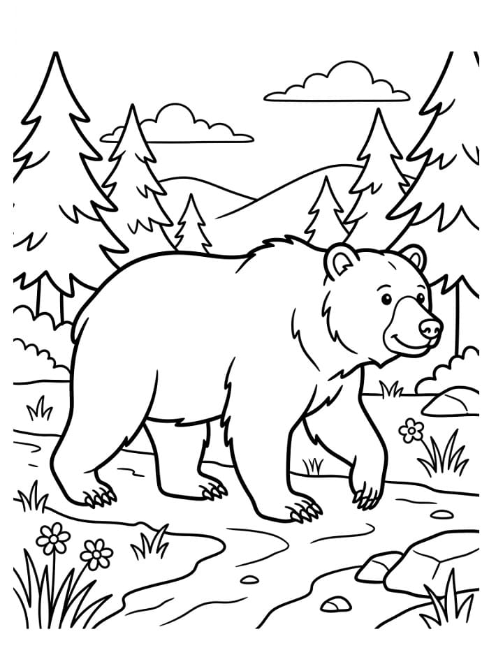 Animovaný Medvěd omalovánka