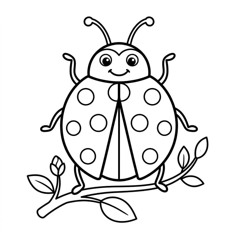 Beruška Jednoduchá omalovánka