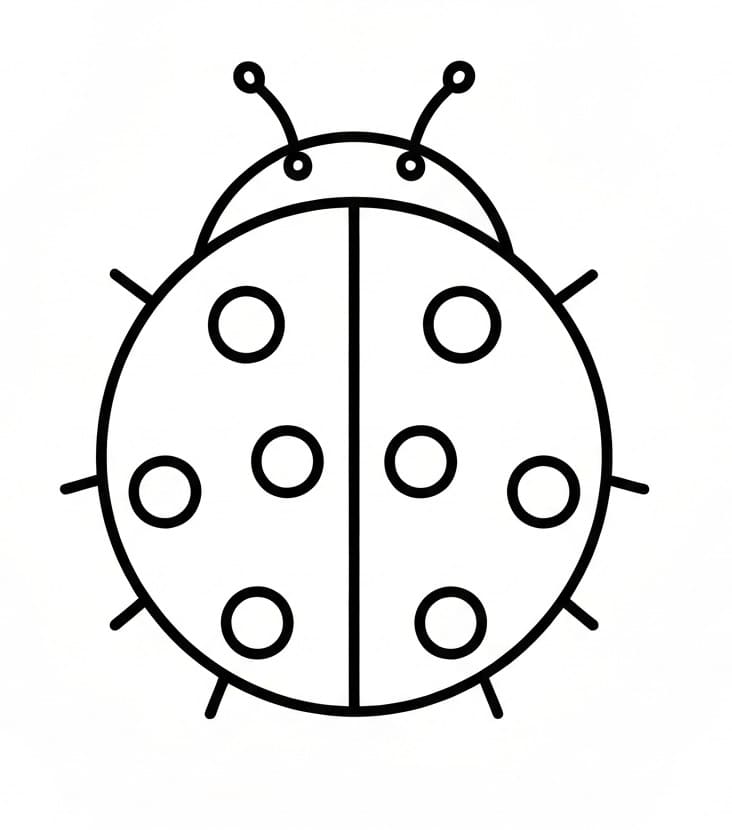 Beruška Pěkná omalovánka