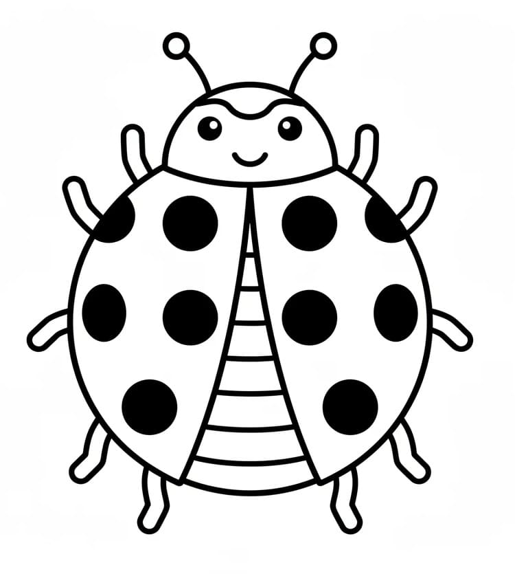 Beruška Základní omalovánka