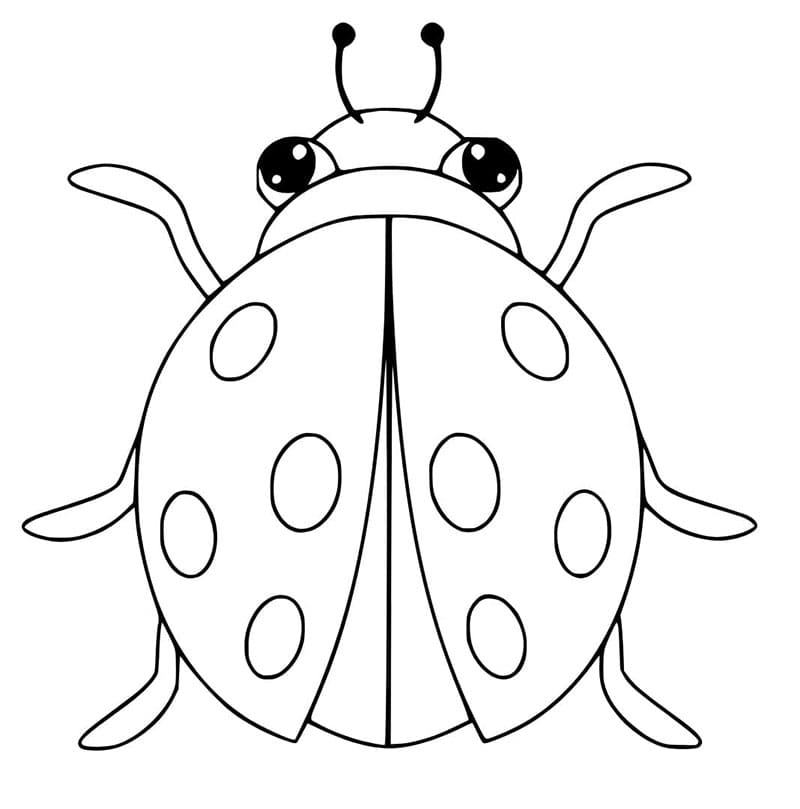 Beruška jako dárek omalovánka