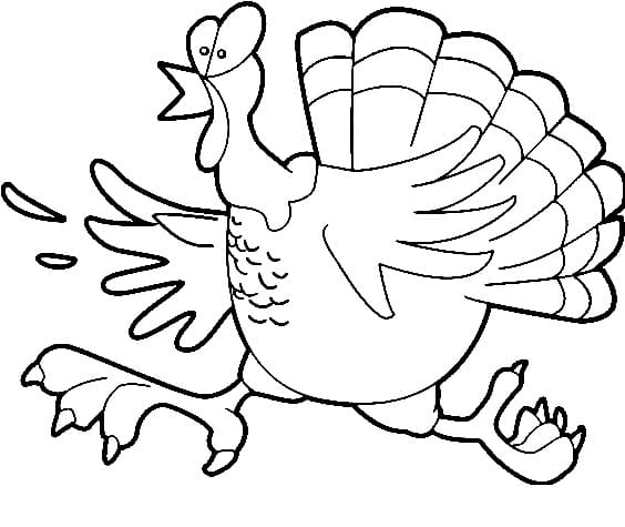 Běžící Krocan omalovánka