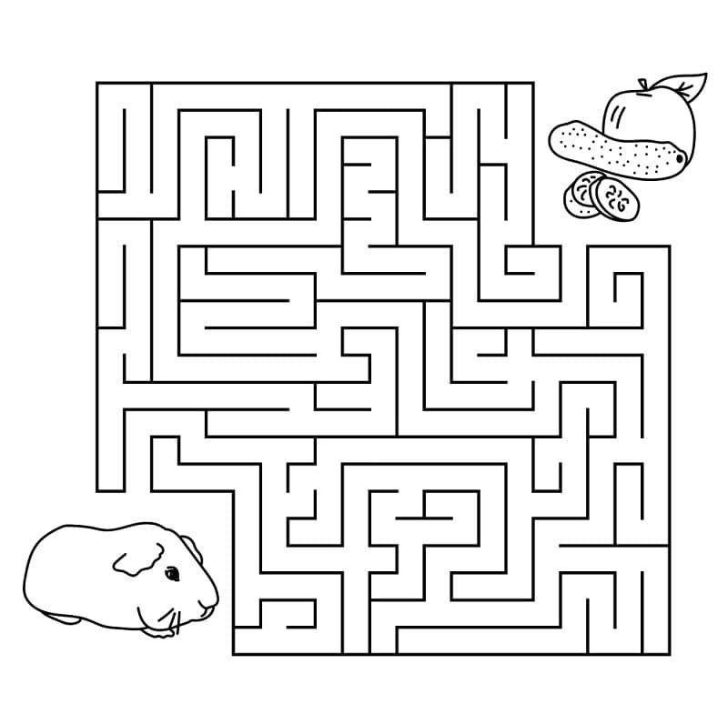 Bludiště pro děti omalovánka