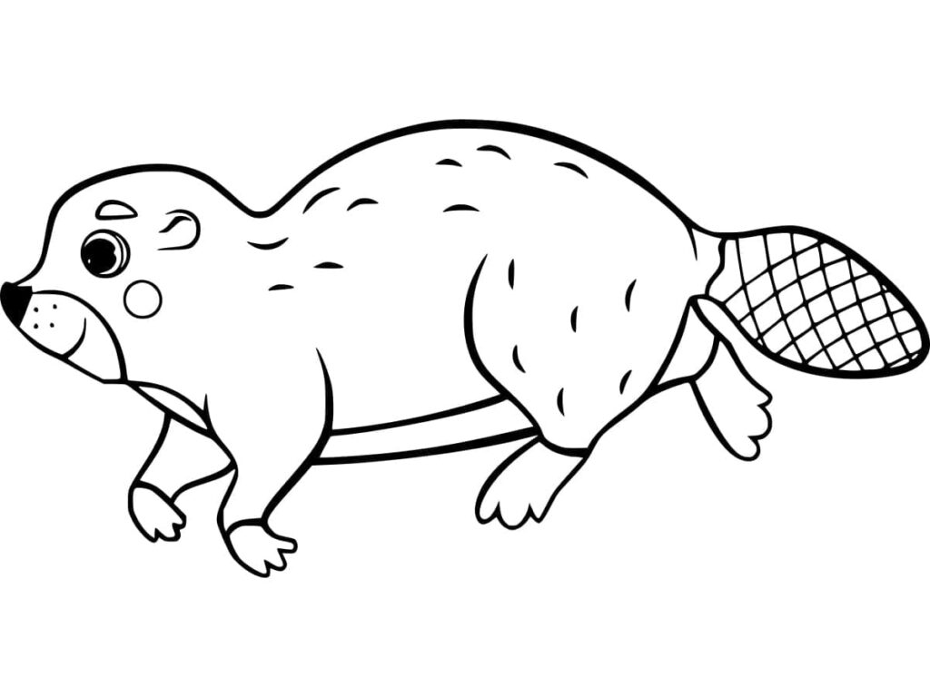 Omalovánka Bobr Tisknutelný pro Děti