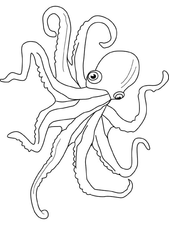 Chobotnice tisknutelná omalovánka