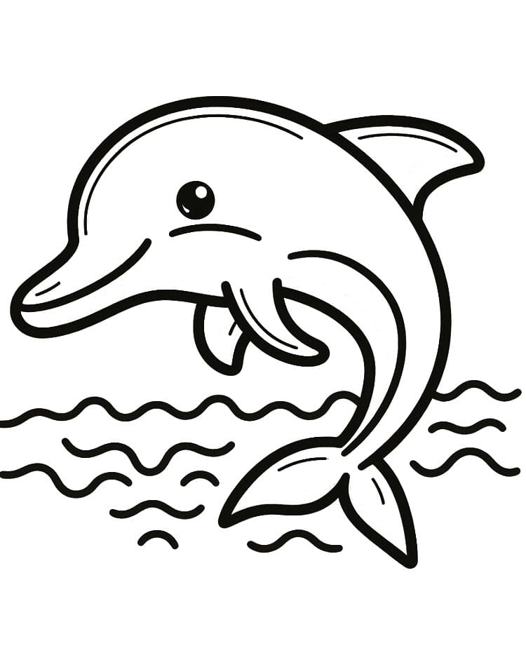 Delfíní mládě omalovánka